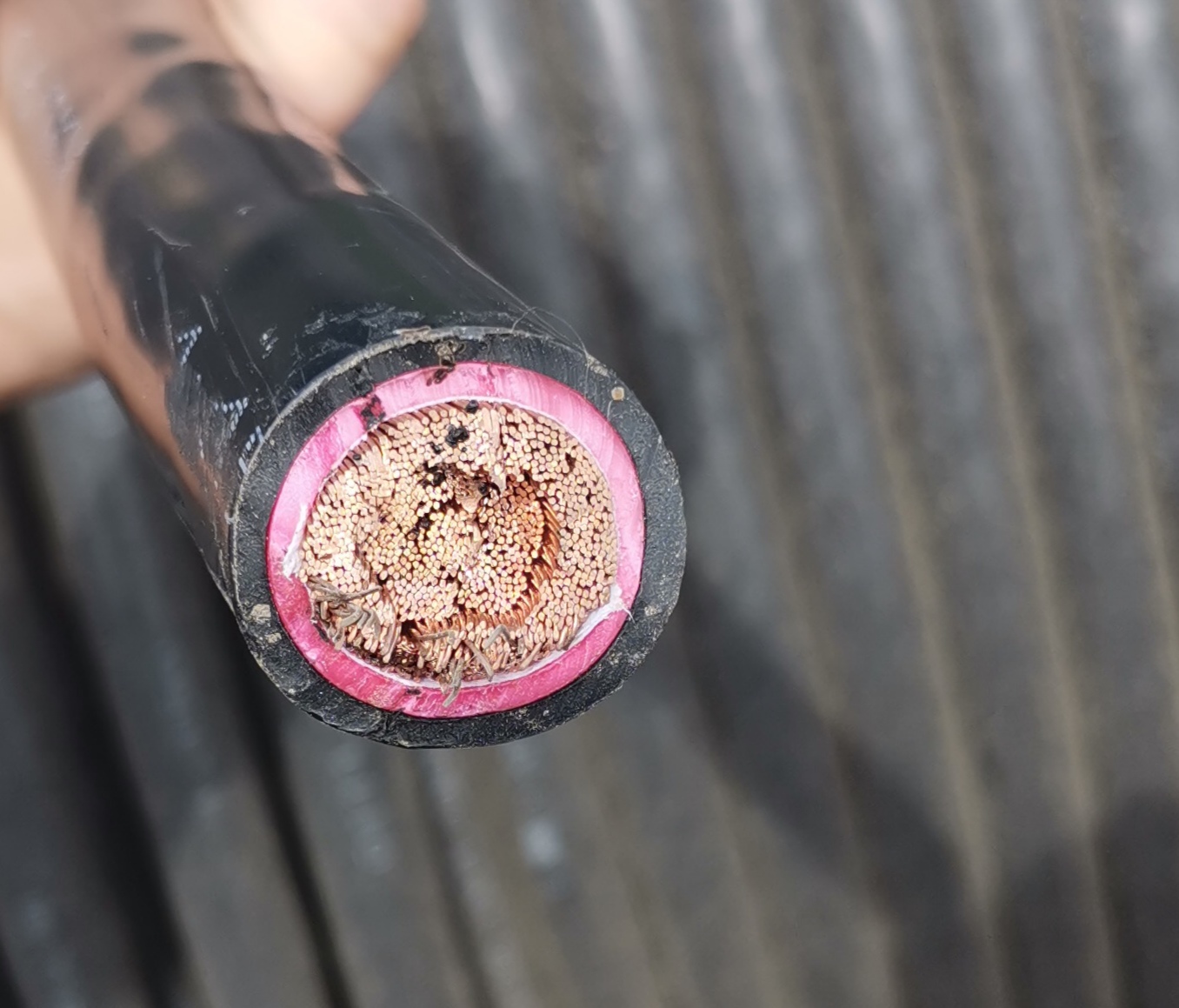 低压单芯软电缆 VVR 0.6/1KV 乐玩国际电缆